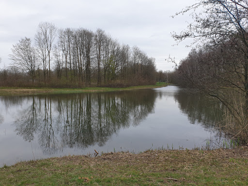 Staddijk - Visual