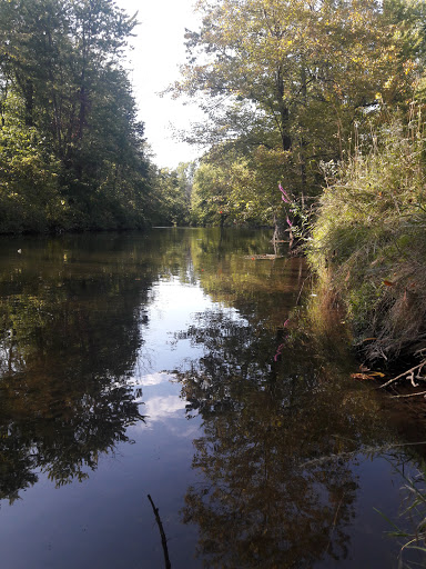Fishing Access Parking - Thumbnail