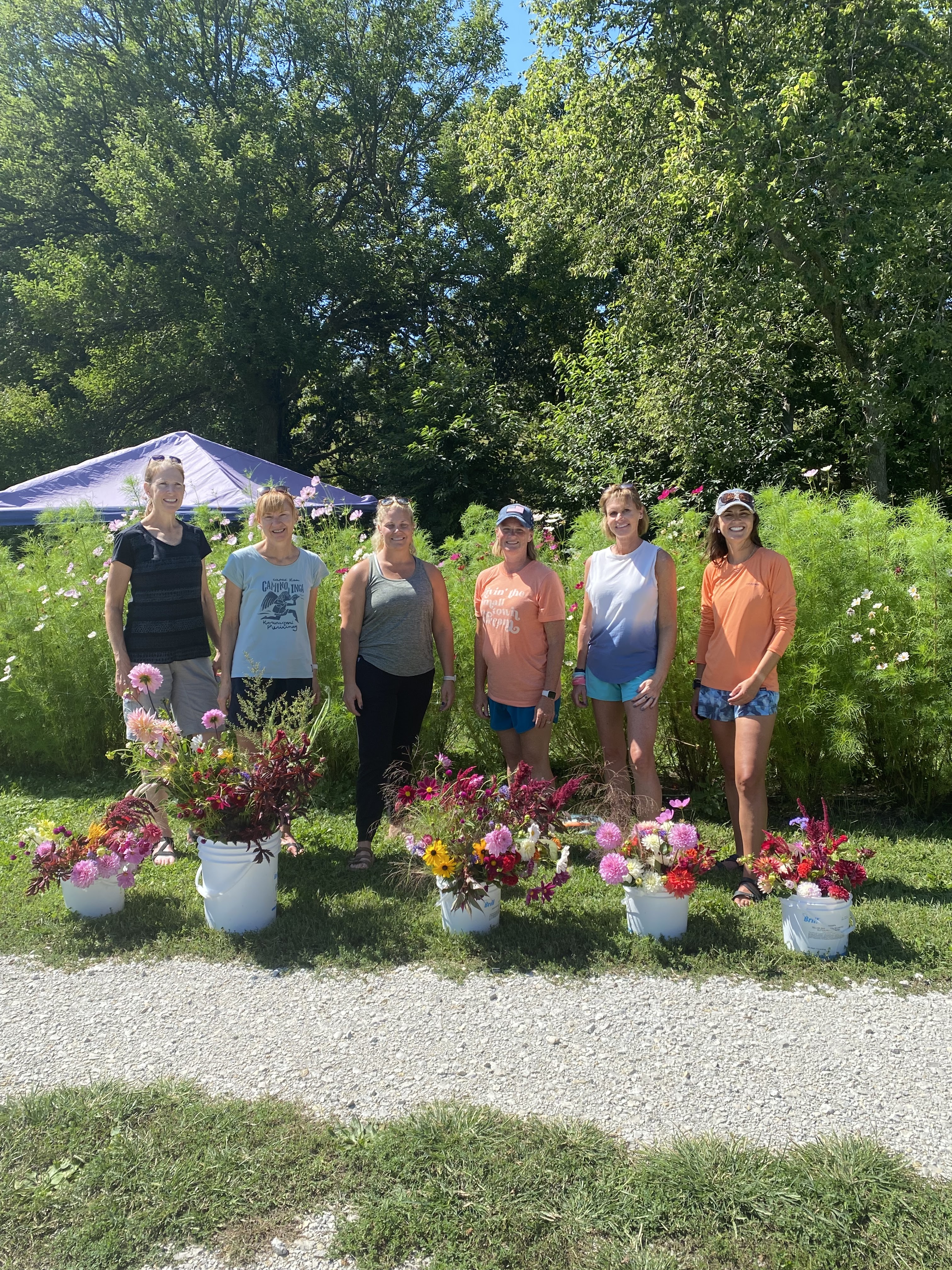 Walnut Trail Farms - Pick Your Own Flowers