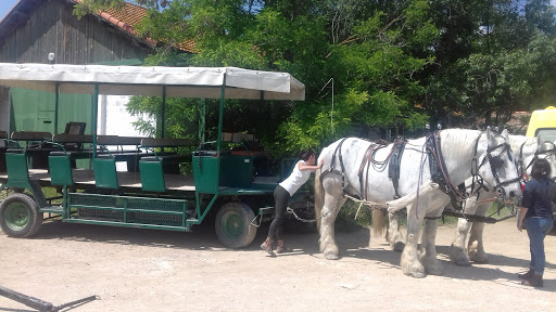 Photo de Mas Thibert à Mas-Thibert (Unknown)