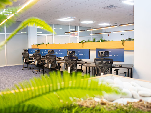 InSource Litigation Support