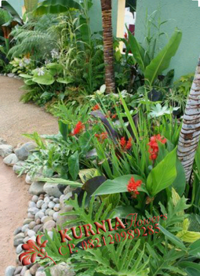Photos of TUKANG KOLAM DI BANDUNG