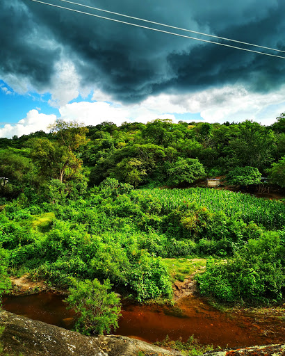 TEPOXMATLA