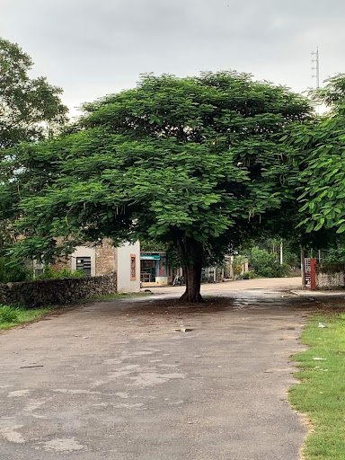 Consultorio Psicológico. Centro de Atención Psicológico. Psicologa Kanasin Merida - Thumbnail