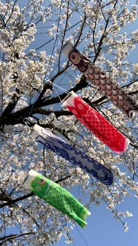 DAISO 富山空港通店