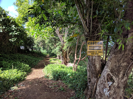 Trail head to Wyllie's Beach Gallery - United States