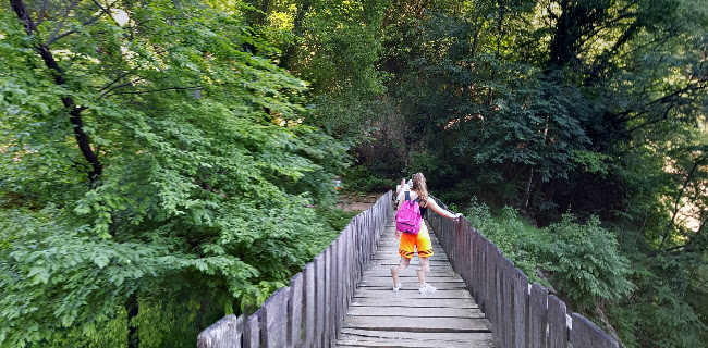Rezensionen über Parco delle Gole della Breggia, Direzione in Bellinzona - Museum