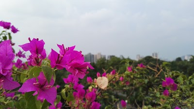Photos of Chengdu Dream Travel International Youth Hostel