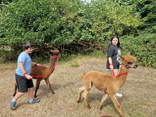 Woolville Alpacas