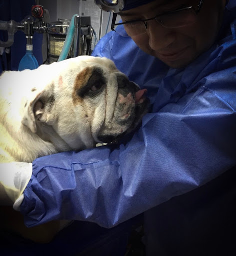 VETERINARIA PETCARE CUERNAVACA