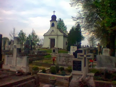 Hencz Barbara vállalkozó-Kemenesaljai Temetkezés