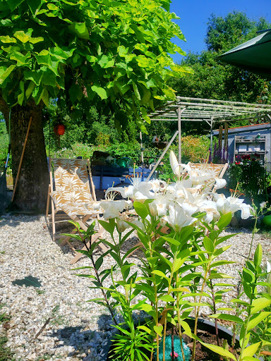 Photo de Chambres d´hotes VILLA CAPSYLVAINE