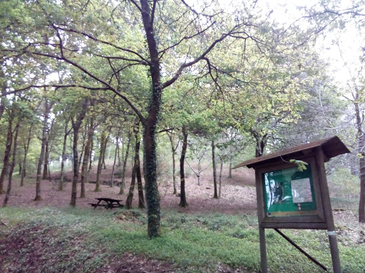 Parque Forestal do Monte Pedroso - Thumbnail