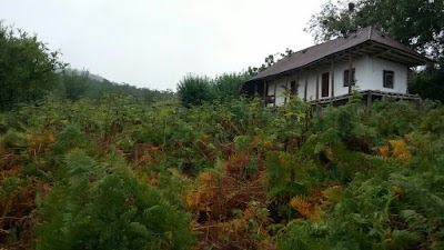 Photos of کلبه تسی کلا