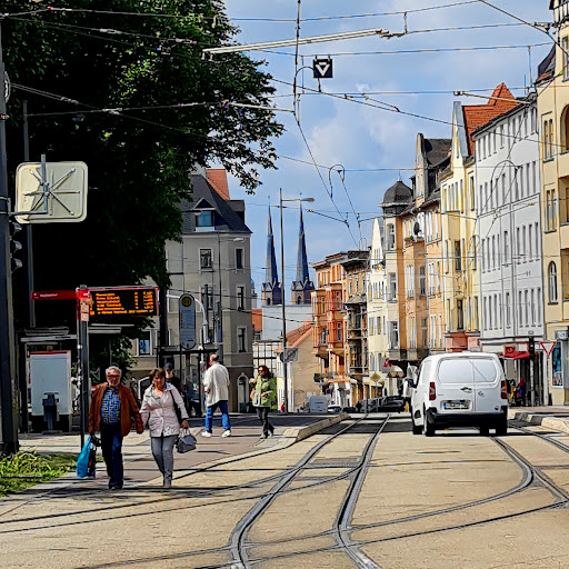 Am Steintor - Visual