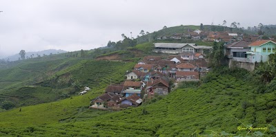Photos of Puncak Mulya