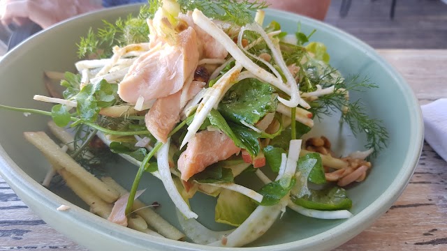 North Bondi Fish