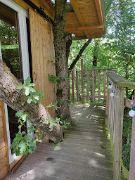 Photo n°20 de La Cabane du Lamas à Montignac-de-Lauzun (Lodge)