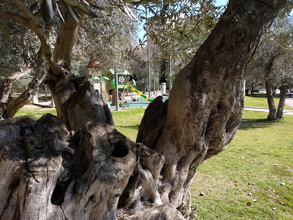 פארק דניה גולומב 23 ירושלים ישראל