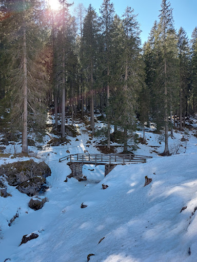 Centro Visitatori di San Martino di Castrozza del Parco Naturale Paneveggio Pale di San Martino - Thumbnail