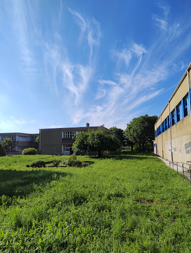 Liceo scientifico Filippo Juvarra - Thumbnail