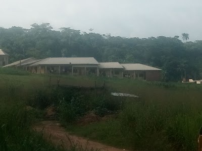 university