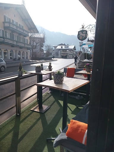 Die Tagesbar - Visual
