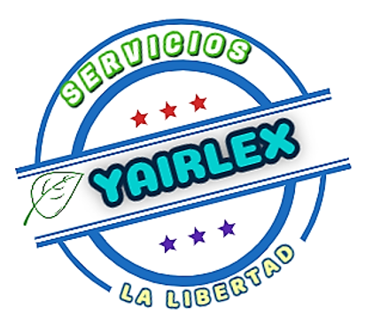 SERVICIOS YAIRLEX SAS DE CV