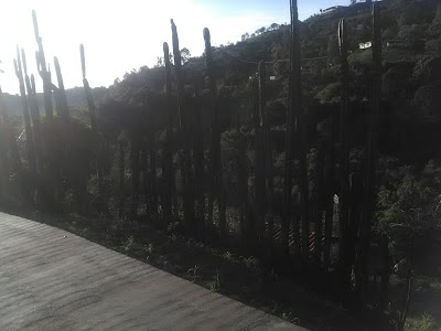 Photos of Templo de la Natividad (Virgen Abridera) Gama De La Paz