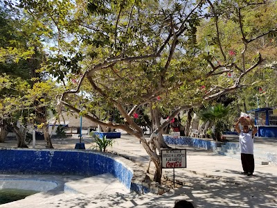 Photos of Spa Ecoturistico Papalutla S.C. de C.V.