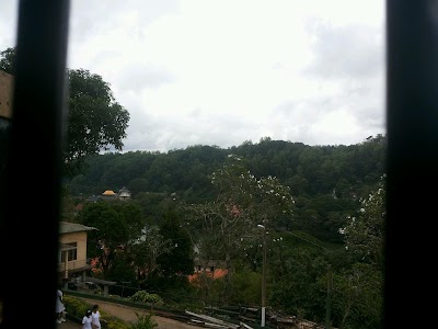 Photos of Hillwood College