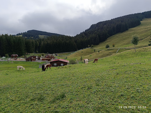 Berghütte Bärenfalle - Thumbnail