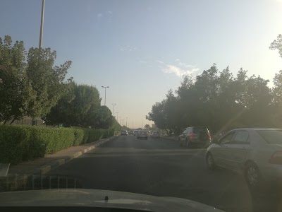 Photos of حديقة القصر الأحمر The Red Palace Park