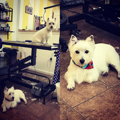 Posh Paws Pet Salon & Boutique