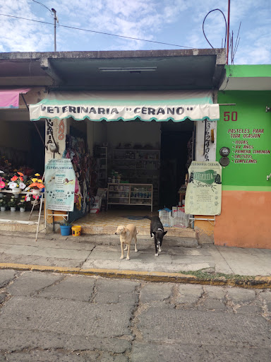 Veterinaria Cerano