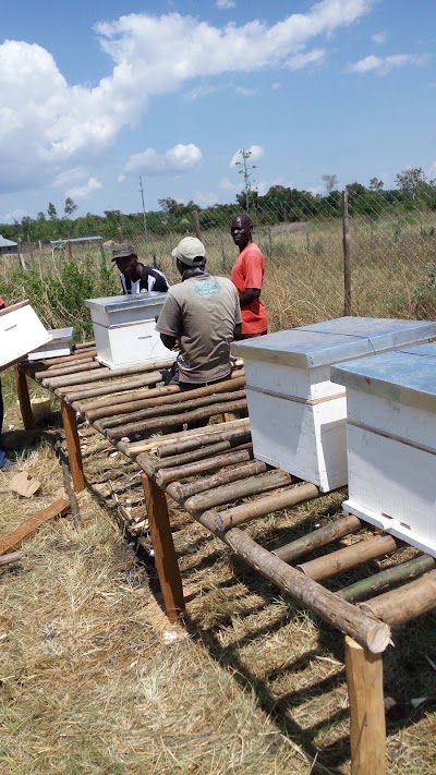Photos of GIBEA AGRO & LIVESTOCK PRODUCTION AND DEMONSTRATION CENTER