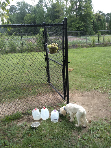 Cahaba Dog Park - Thumbnail