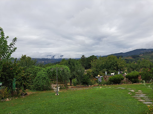 CTR FULGUERA - Visual