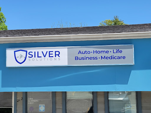 Silver Solutions - Visual