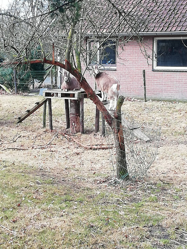 Kapservice Gerda Stegeman