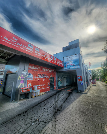 Die Öko Autowäscher
