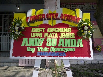 Photos of Galery Bunga ANI JAYA