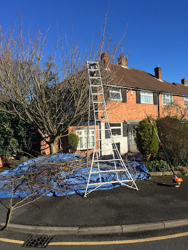 Gemstone Gardener and Gemstone Tree Surgery - Landscaper