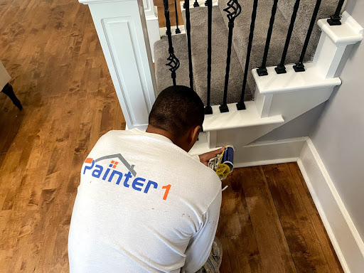 Painter1 of Nashville - Thumbnail