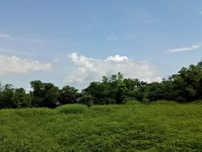 Photos of Ukhari Bazar
