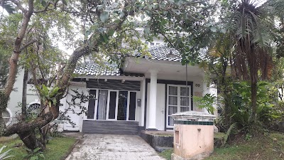 real-estate-agency