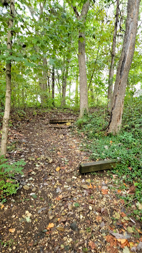 Clearview Park - Visual