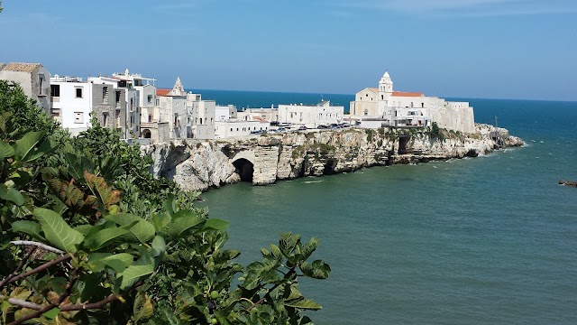 Vieste