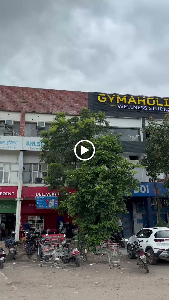 Gymaholic Wellness Studio Pkl