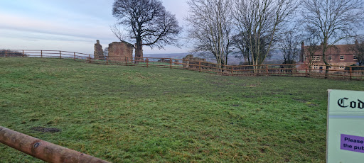 Codnor Castle - Visual
